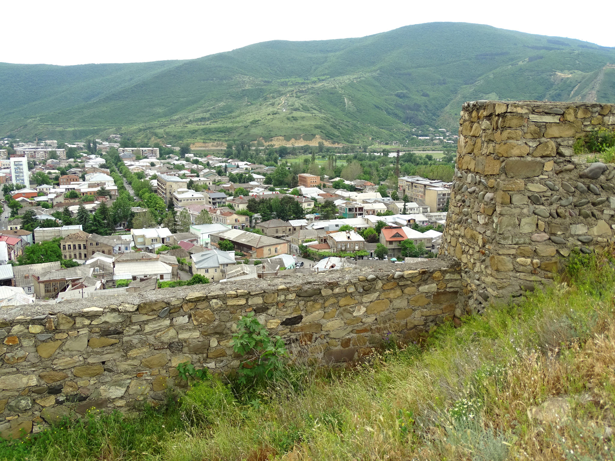 Gori